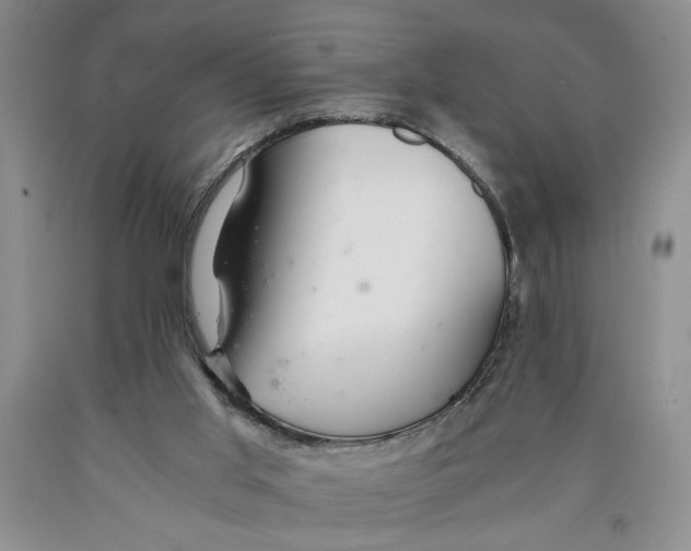 X0000089920013200707271746