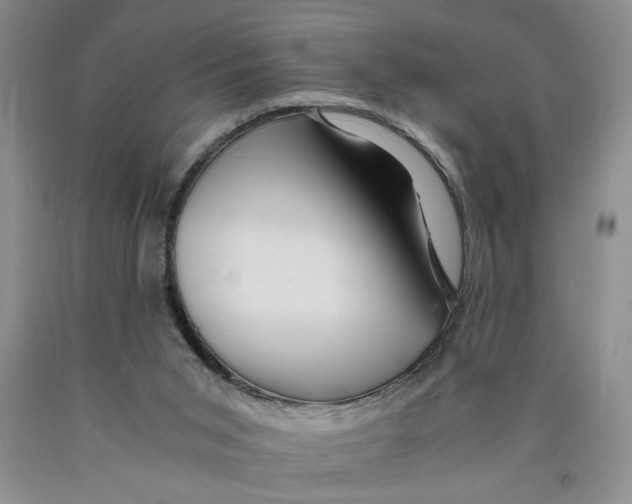 X0000089920015200707271746