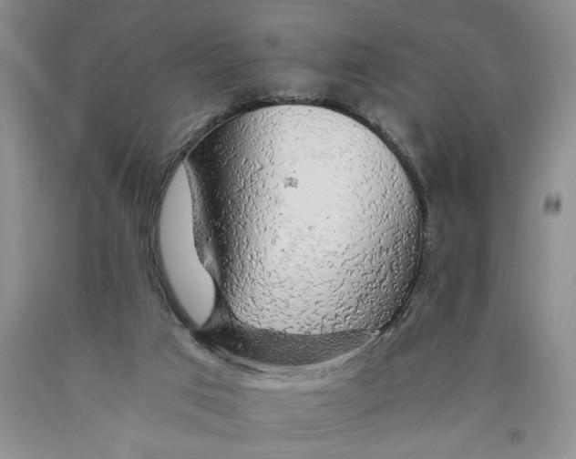 X0000089920017200707271746