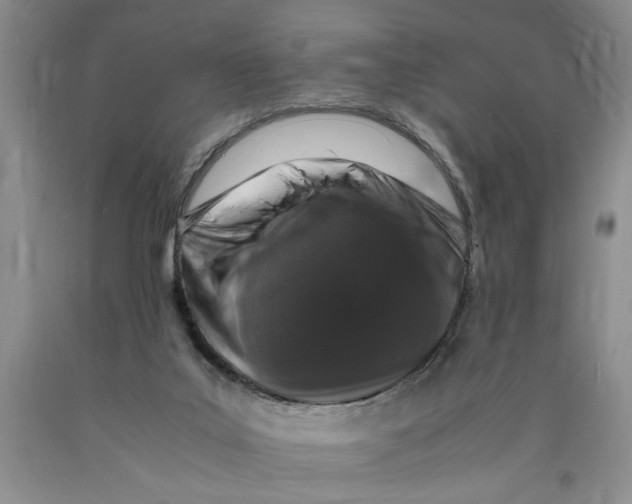 X0000089920019200707271745