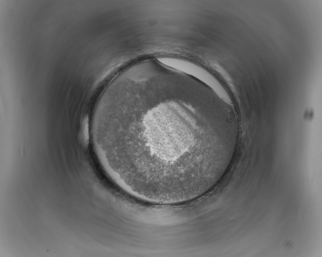 X0000089920020200707271745