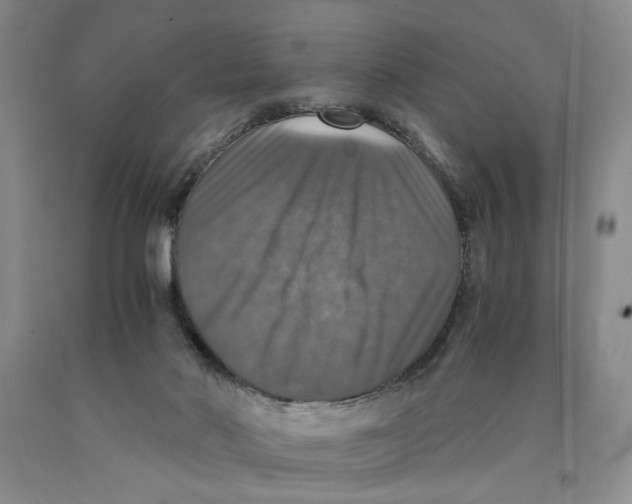 X0000089920022200707271745