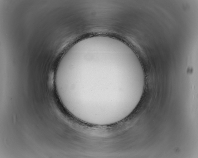 X0000089920024200707271745