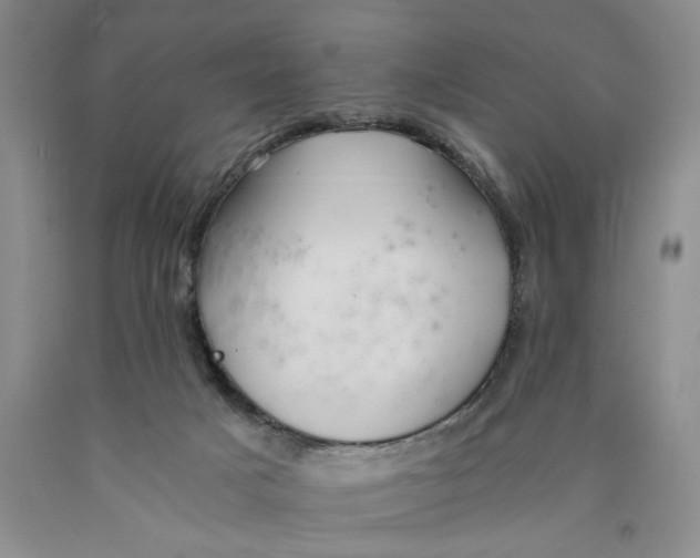 X0000089920025200707271745