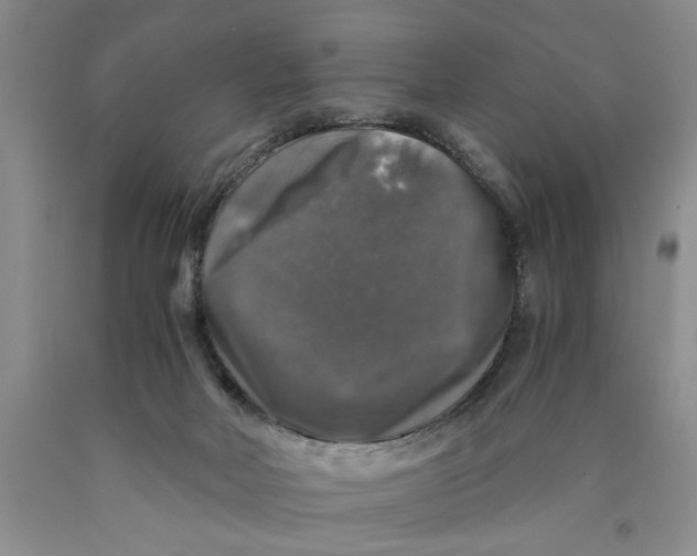 X0000089920026200707271745