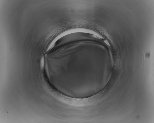 X0000089920027200707271745