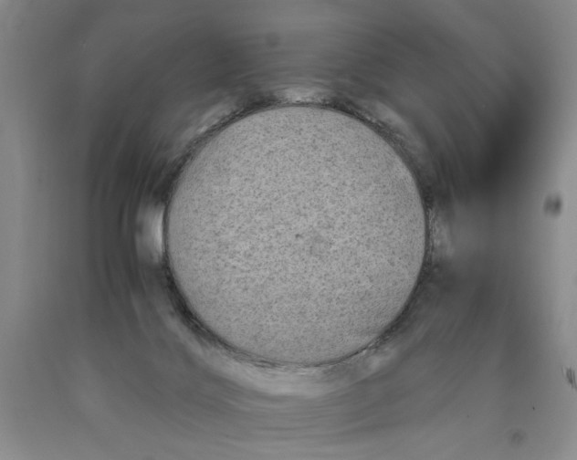 X0000089920028200707271745