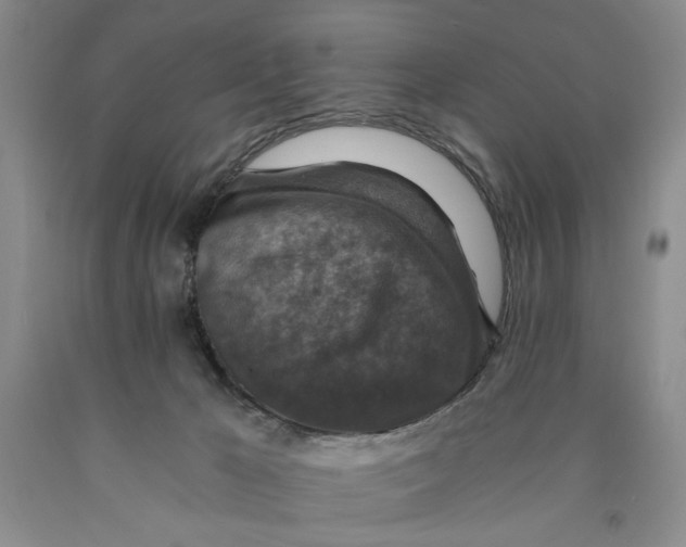 X0000089920029200707271745