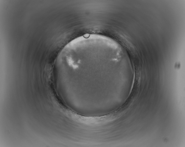 X0000089920030200707271745