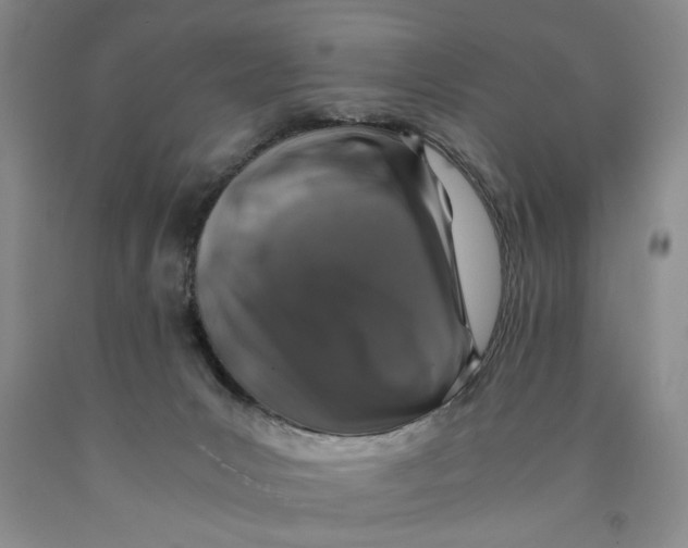 X0000089920031200707271745