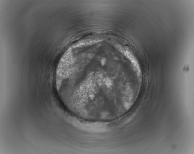 X0000089920032200707271745