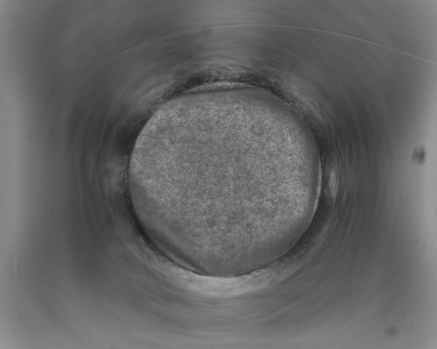 X0000089920034200707271745