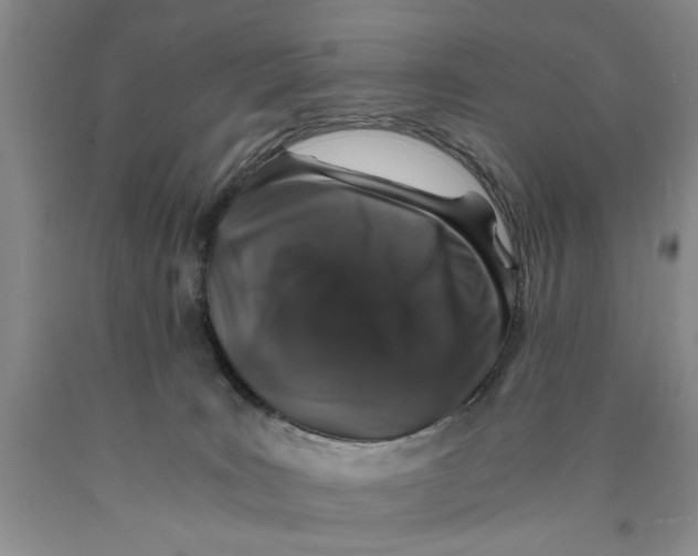 X0000089920035200707271745