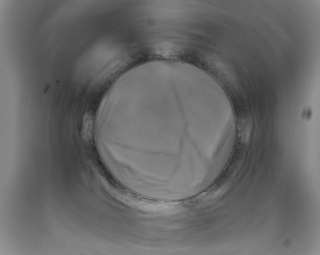 X0000089920036200707271745