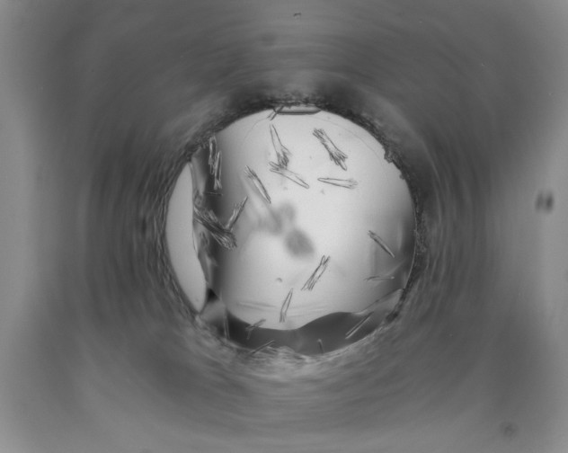 X0000089920037200707271745