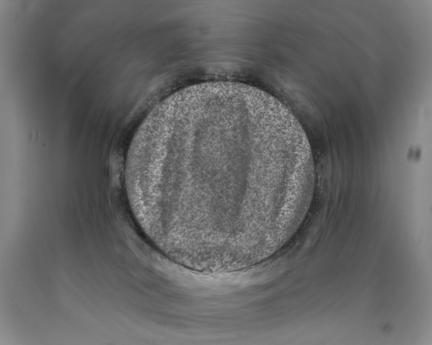 X0000089920038200707271745