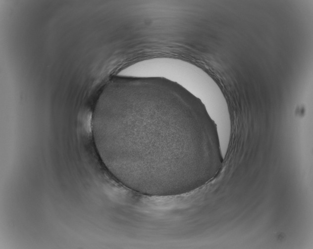 X0000089920041200707271745