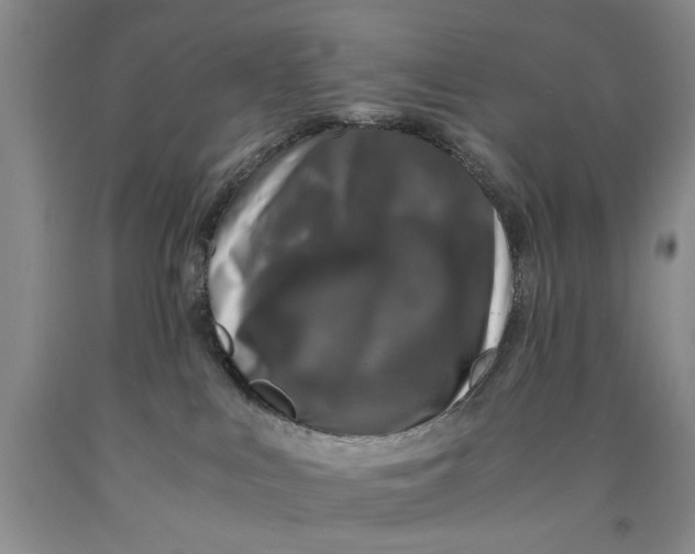 X0000089920043200707271745