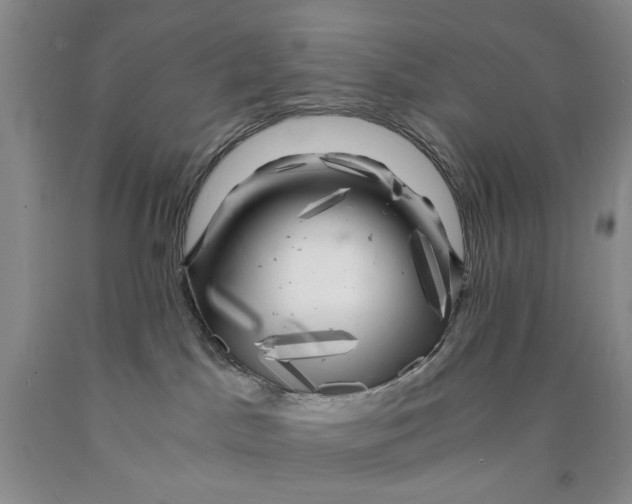 X0000089920045200707271745