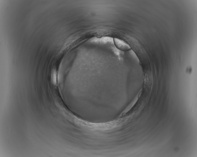 X0000089920046200707271745