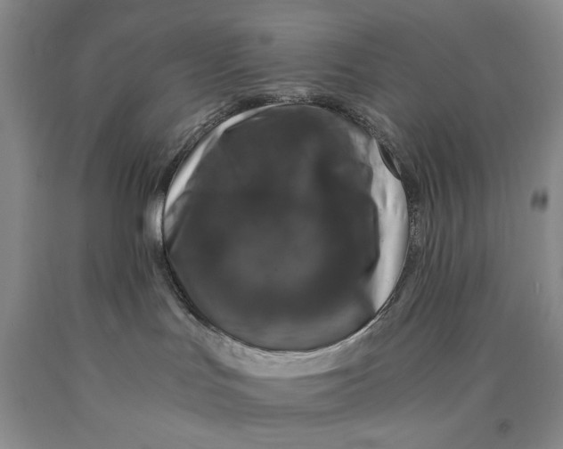 X0000089920047200707271745