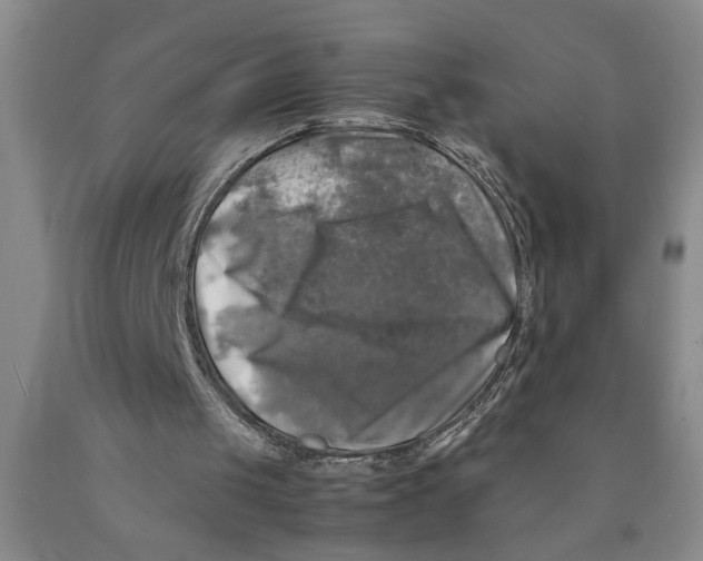 X0000089920049200707271744