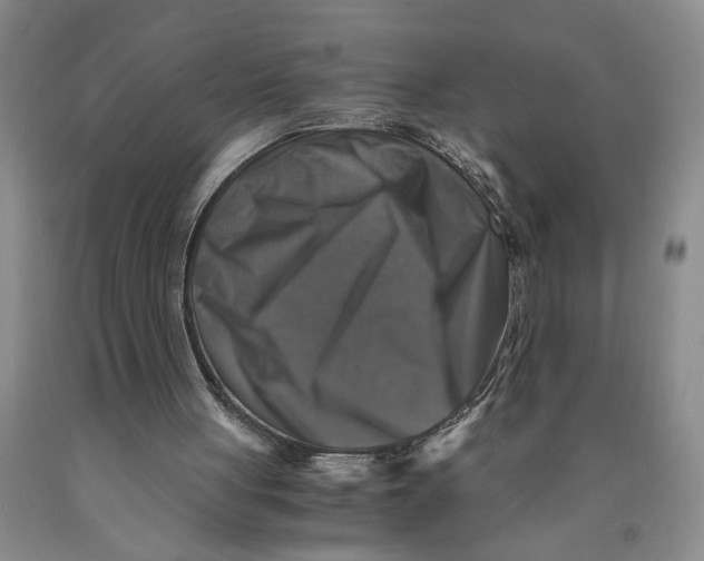 X0000089920051200707271744