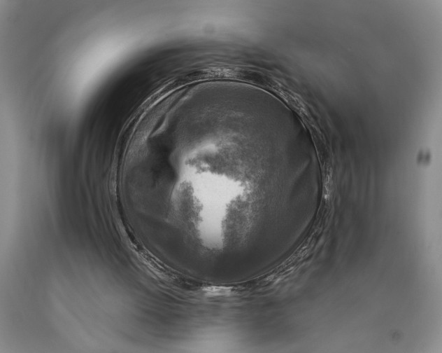 X0000089920052200707271744