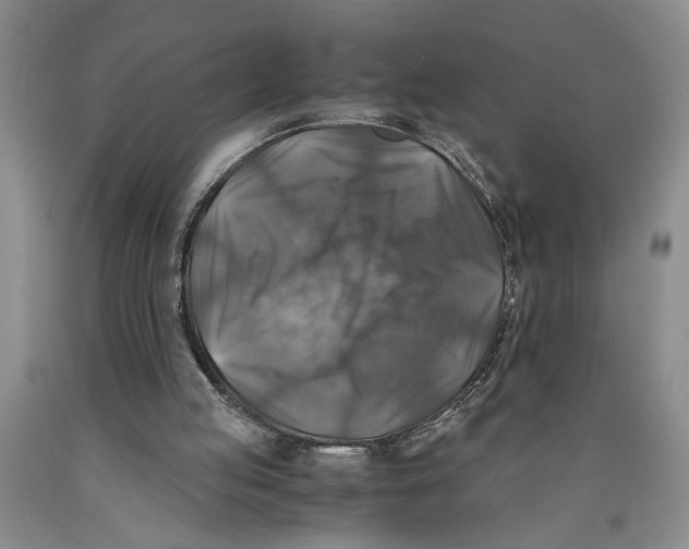 X0000089920053200707271744