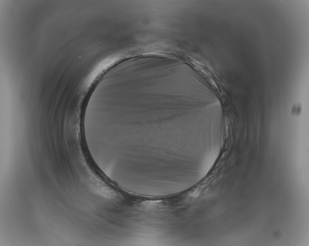 X0000089920054200707271744