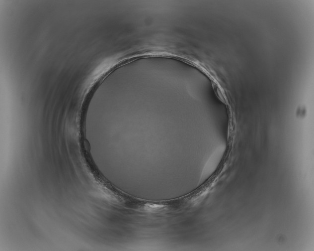 X0000089920055200707271744