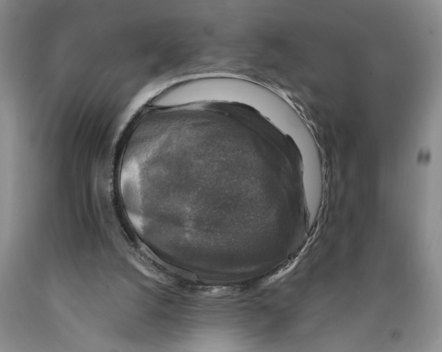 X0000089920056200707271744