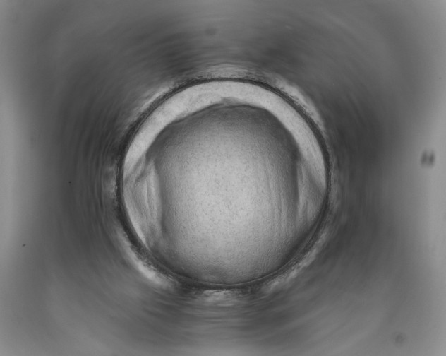 X0000089920057200707271744