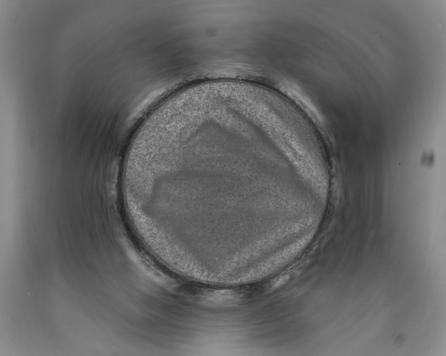 X0000089920058200707271744