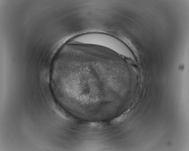 X0000089920060200707271745