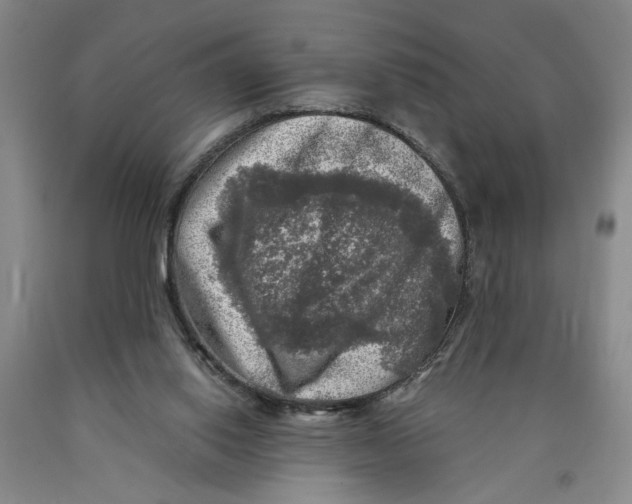 X0000089920062200707271745