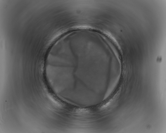 X0000089920063200707271745