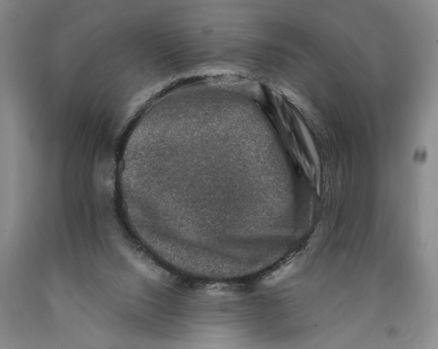 X0000089920064200707271745