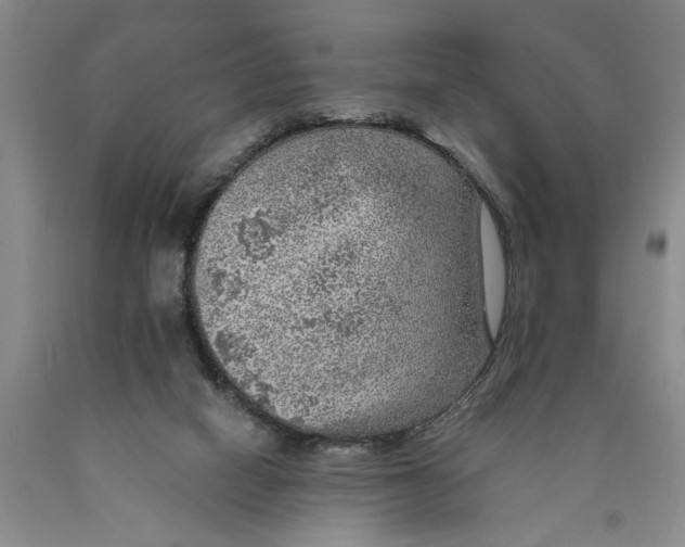 X0000089920066200707271745