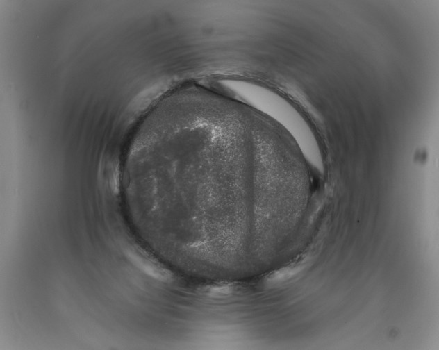 X0000089920068200707271745