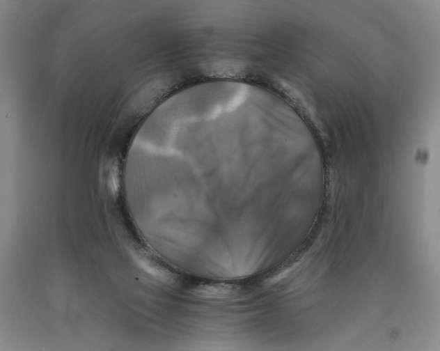 X0000089920069200707271745