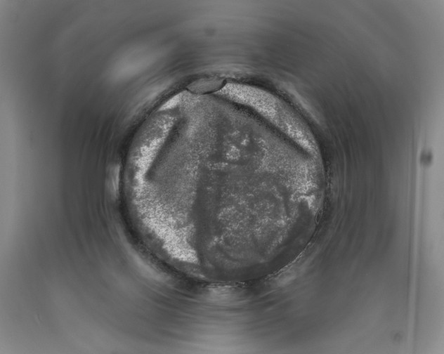 X0000089920070200707271745