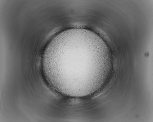 X0000089920071200707271745