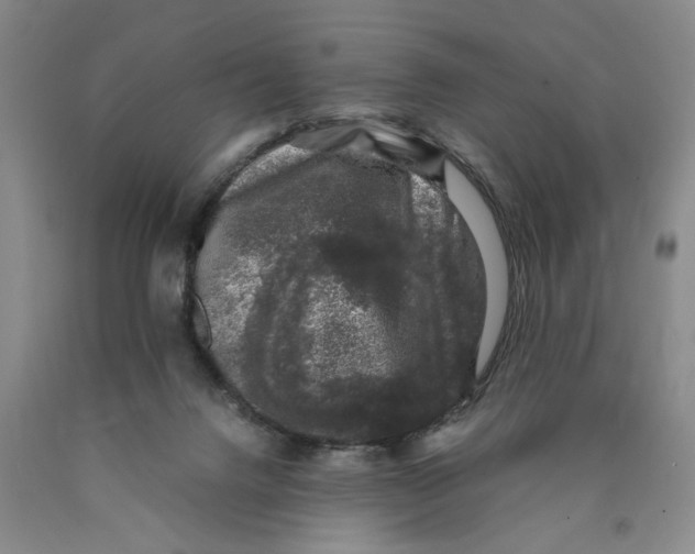 X0000089920072200707271745