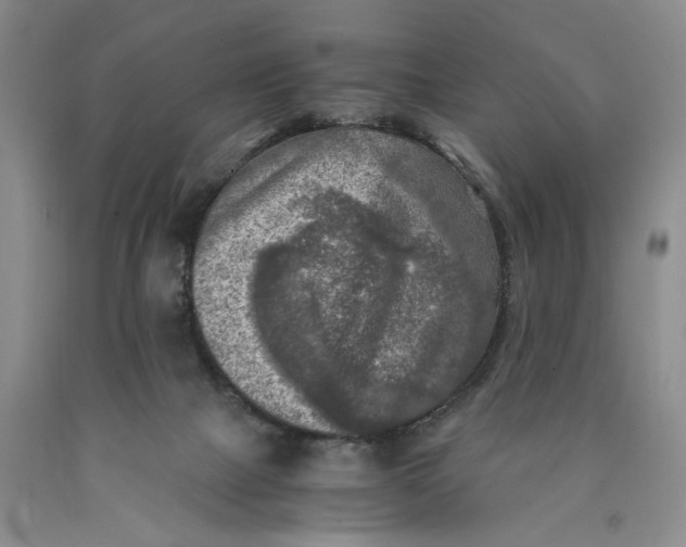 X0000089920073200707271745