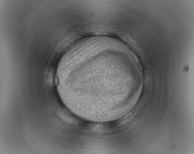 X0000089920074200707271745