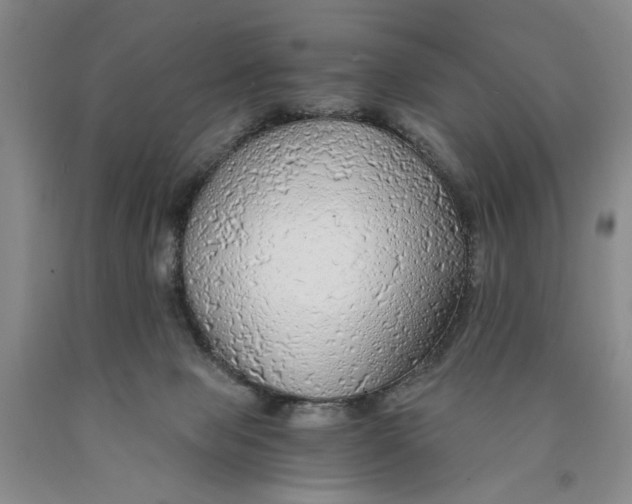 X0000089920077200707271745