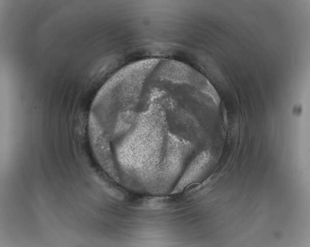 X0000089920078200707271745