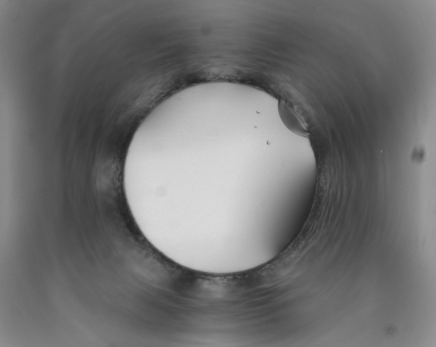 X0000089920079200707271745