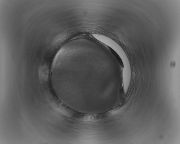 X0000089920080200707271745